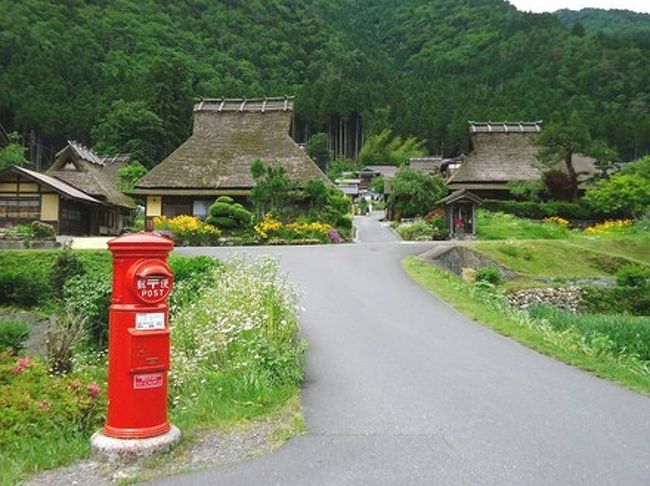 京都の山間に昔話に出てくるような村がありました、<br />「美山かやぶきの里」です。<br /><br />三方を新緑の山に囲まれ、脇に清らかな由良川が流れます。<br />田んぼでは田植えが終わったばかり、青々と美しい景観でした。<br /><br />３時間位集落を散策、日本の原風景に心が癒された一時でした。<br /><br />