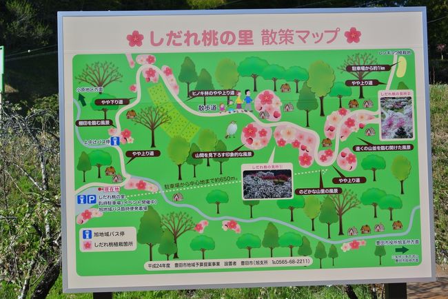 トラベラーさんの旅行記を見て行きたい！と思っていた所、しだれ桃の里（豊田市上中町・旭地区）を訪れました。<br />既に見頃は過ぎていましたが、のどかな山里に咲くしだれ桃の里を歩いてみました。
