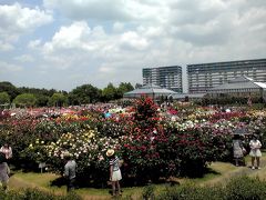 12.05.27京成ばら園