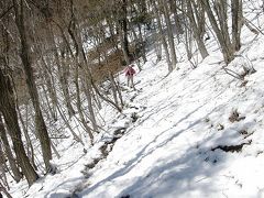 思わぬ雪と山野草咲く熊鷹山に登る