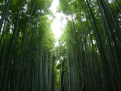 息継ぎなしの京都旅行四日目