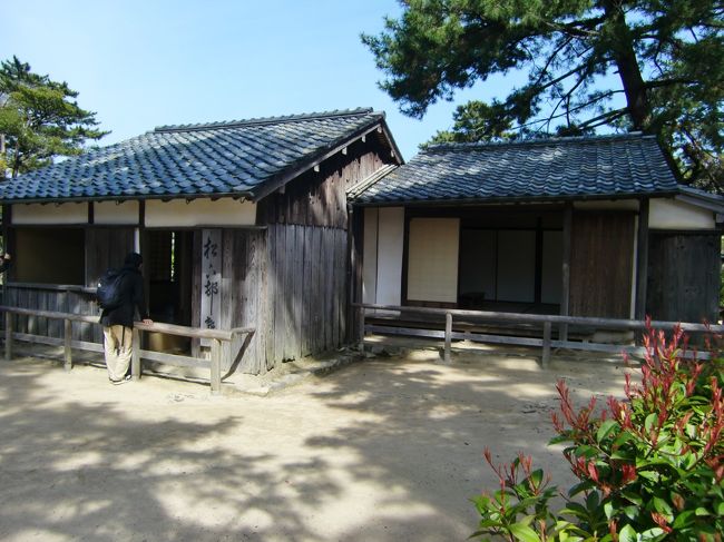 　長門の「金子みすゞ記念館」で長居したおやじ達は、本日の宿泊先「萩グランドホテル　天空」に３０分で到着。<br /><br />　収容人員７００名（客室１５５室）のこのホテルに、今回決めた理由は、翌日の萩観光に便利、そして、１泊２食付の料金が、バスツァー客と同じ位お値打ちだったからです。（おやじ３人旅の１泊２食の価格としては最安値。）<br /><br />　ＰＭ６時からビュッフェ形式の夕食が始まり、５０種類以上の料理と牛カット・刺身盛り合わせ・寿司握り・天ぷら等の各屋台があり、広い会場はたいへん賑わっていました。（ソフトドリンク無料・ビールは一杯８００円）<br /><br /><br />　翌日、早めに朝食をとり８時半頃、萩博物館の駐車場に到着。<br />そこから、歩いて城下町を散策していると、右側に重要文化財「菊屋家住宅」が見えてきました。<br />　<br />　この菊屋家は、もともと武士でしたが、「毛利輝元公」萩城築城の際に、山口から有力町人として萩に入り町造りに尽力し、その後、藩の御用達を勤めてきました。　　　　　　　　　　　　　　　　　　　屋敷は、２０００坪、建物は江戸初期の建築で、４００年の歴史があり、現存する商家としては最古の部類に属するようです。<br /><br />　菊屋家を見学し出た所が、「菊屋横丁」といわれ「高杉晋作・木戸考允」などの旧宅があり、国指定史跡「萩城城下町」としての人気エリアです。<br /><br /><br />　それから、萩のもう一つの観光スポット、「松下（しょうか）村塾・松陰神社」に１０分ちょっとで到着。<br /><br />　吉田松陰の叔父、玉木文之進が、天保１３年（１８４２年）に自宅で私塾を開いたのが始まりで、安政４年(１８５７年）２８歳の松陰がこれを継ぎ、松陰は、身分や階級にとらわれずに学ぶことができる塾にし、僅か１年余りの間に幕末維新期に活躍した、久坂玄瑞（１７歳入塾）・高杉晋作（１８歳入塾）・伊藤博文（１７歳入塾）など数多くの逸材が輩出したとのことです。<br /><br />　<br />　そして、吉田松陰を祭神とした「松陰神社」にお参りし、近くにある「伊藤博文（ぶみ）の旧宅」に行きました。<br /><br />９歳の時に、山口県光市から家族で萩に移り両親共に伊藤家に入家し、この木造茅葺き平屋建て２９坪の下級武士の家に住んでいたようです。（国の史跡）<br />　庭には立派な伊藤博文の銅像（萩焼でできた像で正式には陶像）がありました。<br /><br />　　　　　　　　　　　　　　　　　　　　　　　　　　　　　　　　　　　　　　次に続く<br />　<br />　　<br />　