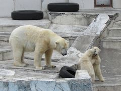 札幌のヒーリングスポット琴似神社サクラ咲く通信　札幌円山動物園可愛い子に会いにふたたび～ザ・ウィンザーホテル洞爺リゾート＆スパのホテルメイドフレデリック・ラロスパリで第1位のパンミッシェル・ブランのケーキ東急DPへ札幌の中山酢醸造ドリンク