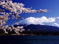 これぞ日本の誇り。祝★世界遺産～富士と桜を撮りに～河口湖ドライブ