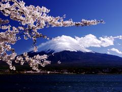 これぞ日本の誇り。祝★世界遺産～富士と桜を撮りに～河口湖ドライブ