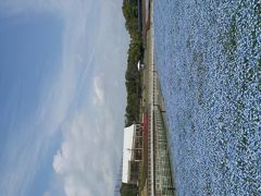 花で溢れる浜名湖ガーデンパーク　浜松　in 静岡県　　４月　　　２０１３年