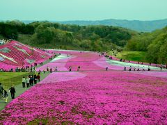 ２０１３年観桜記（１０）　市貝の芝桜