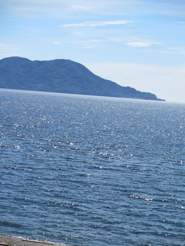 ワンコと一緒に、一泊二日で浜名湖へ行って来ました。<br />ウェイクボードにも初挑戦!身体を動かし、美味しい物を食べて、楽しい休日を満喫しました♪