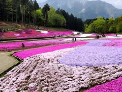 自然が織り成す、花の絨毯。秩父芝桜の丘