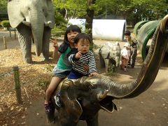 '13GW 都内でお遊び　羽村市動物園編