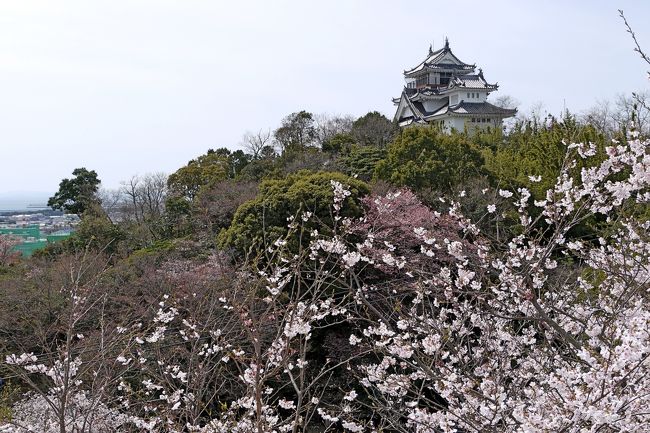 1015　フィンランド人の友人とおちあい，鳴門妙見山公園へ．最初は眉山公園に行こうかと思ったが，今日は鳴門でゆっくりすることにした．ちょうど妙見山は桜が満開．本来は偽造の天守が桜によく似合う．春の暖かな晴れた午前．ゆっくり桜を堪能した．次に旧鳴門スカイライン，県道183号線をドライブ．1138堀越海峡，四方見展望台，小鳴門海峡で停車．鳴門の絶景を楽しむ！ウチノ海にうかぶ筏とやかたが風情がある．すばらしい景色だ．また四方見橋の左右に海が見えるのもいい．絶好のドライブコース．薄曇りだったが，快晴だったらさらに海がきれいだったと思う．<br />　昼食はJF北灘　さかな市のなかにある漁協食堂　うずしおで，天然鳴門鯛の漬け丼1200円と焼き牡蠣にした．漬け丼最高においしかった！<br />午後はまずうずしおを船で見学．今日の大潮（干潮）は1520なのでその時間には大鳴門峡遊歩道に行こう！ <br /><br />詳細はsuomita2<br />高松出張・鳴門祖谷旅行3-鳴門妙見山公園の桜<br />http://4travel.jp/traveler/suomita2/album/10766909/<br />高松出張・鳴門祖谷旅行4-旧鳴門スカイライン，漁協食堂うずしお<br />http://4travel.jp/traveler/suomita2/album/10766935/