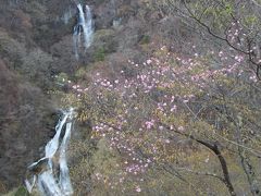 霧降高原は、季節外れの雪景色