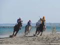 第37回さがら草競馬大会を見てきました　２０１３．０４．２８