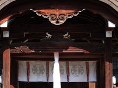 三大神社の藤
