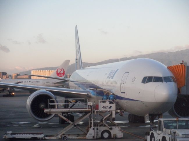 横浜に行く用事があったんで、伊丹‐羽田間の<br />ＡＮＡとＪＡＬの国内線を乗り比べてみました&lt;(｀^´)&gt;<br /><br />飛行機は、もう何百回って乗ってるけど<br />ＪＡＬ国内線は初なんですＹＯ、奥さん。。。<br />わ、ワイルドだぁＲＯ〜（語尾上げてね〜〜）<br /><br />それにしても、大阪−東京の航空料金だけど<br />両社とも、自社の料金でさえ時間帯で異なるのに、<br />同じ時間帯の２社の運賃がほぼ同じだなんて…<br />なんだかなぁ〜〜って思っちゃうよネ〜(~_~;)<br /><br />まっ、とりあえず、オン・ボード(^O^)/