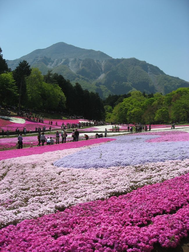 ’１３　羊山公園と長瀞１　羊山公園の芝桜編