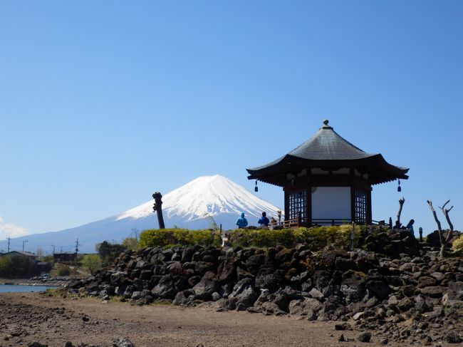 河口湖の水位が下がってきてますので、<br />せっかくなので歩いて六角堂を目指します。<br /><br />その後はほうとう不動でお昼を食べて、<br />山梨県森林公園の「金川の森」へ向かうのである。<br /><br />