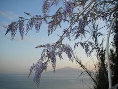 大好きイタリア　南イタリア８日間の旅２　　ソレント、カプリ島