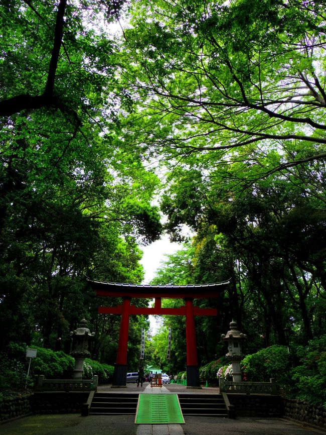 新緑が気持ちよさそうなので神社に行きたくなり、東京のへそ「大宮八幡宮」へ。<br />初めて行ったのですが、思ったとおり清々しい空気を吸ってくることができました。<br /><br />帰りに「祖師谷公園」に寄って、お花の写真を撮りながら少しだけお散歩をしました。