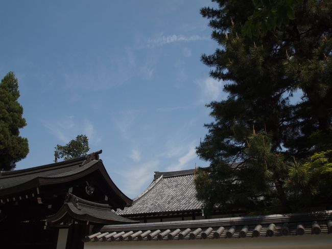 春の京都特別公開のパンフレットを見ていると、百万遍知恩寺の仏師快慶作といわれる木造阿弥陀如来立像が魅力的です。<br /><br />その近くの西方寺のご本尊、光背に多くの仮仏を持つ阿弥陀如来坐像も是非拝観したいですね。<br /><br />その知恩寺と西方寺の二寺の近くにある、大興寺もいま特別公開中です。<br /><br />【写真は、知恩寺の特別公開されているお堂の屋根です。】