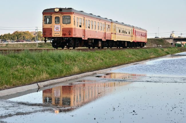 平成25年4月に開業５年を迎えるひたちなか海浜鉄道で、『ひたちなか海浜鉄道開業５周年記念祭』が開催されました。<br />イベント当日は那珂湊駅を中心とした各駅で様々なイベントが実施されました。<br />また本イベントの目玉であります、旧型車両３両?キハ2005＋キハ2004＋キハ205?の連結運行が実施されました。<br /><br />開業５周年記念祭の参加と昔懐かしいレトロ車両の３重連運行を見に、ひたちなか海浜鉄道沿線に訪れてみました。