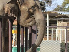 市原/木更津ぐるり旅【16】～ゆめが叶う動物園～市原ぞうの国①