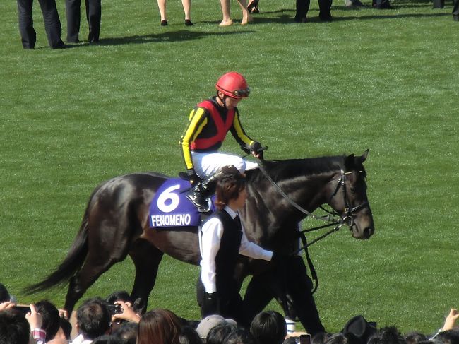 2013年ＧＷ　関西の旅　第２日　京都競馬場