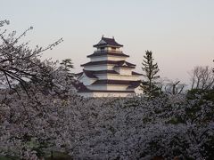 孤老の花見ドライブ