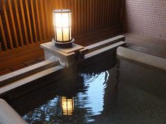 高原の温泉でのんびり ＆ 諏訪　高島城でお花見　（１）　【 蓼科温泉　たてしな薫風 】