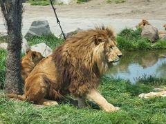 アフリカンサファリ　大分