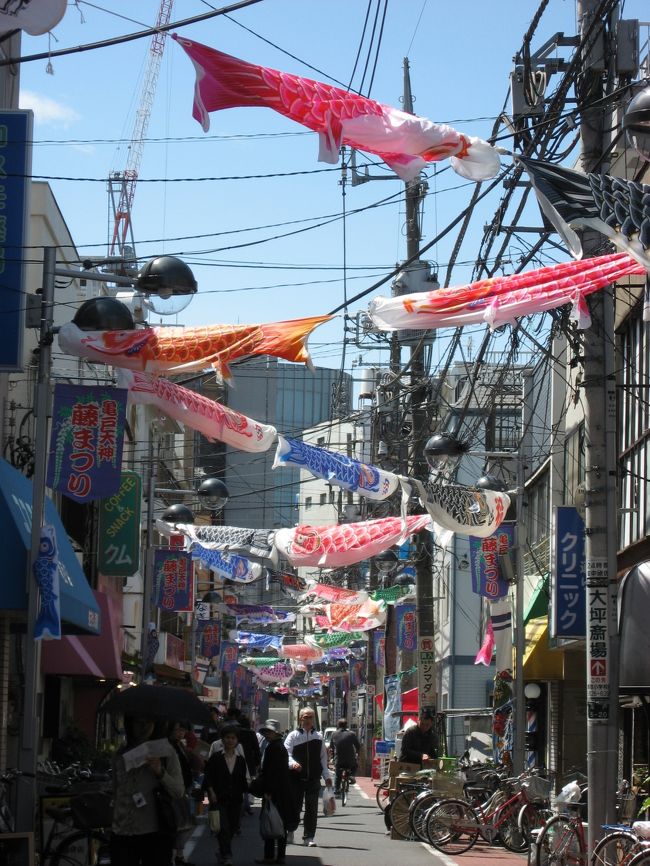 ’１３　亀戸・下町こいのぼり祭り