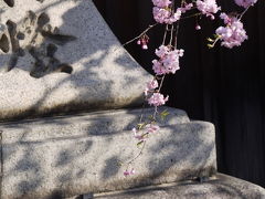 近江路の春2013・八幡堀、安土