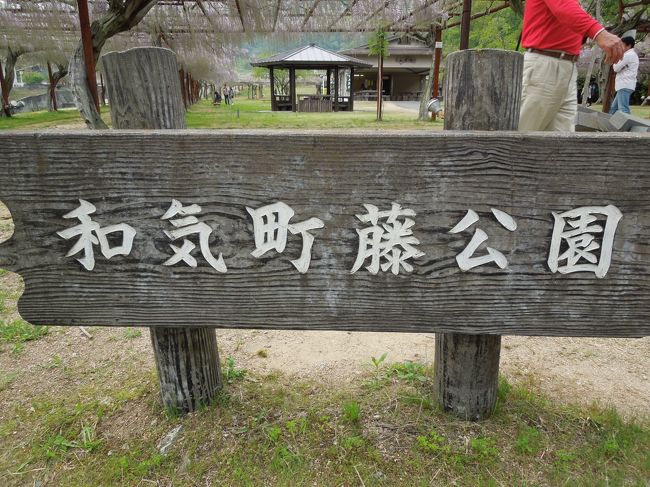 今日はお兄ちゃんの１６歳の誕生日。<br />お昼過ぎまで西播磨の播磨科学公園都市でのイベントに参加していたら、パパからお仕事が早く片付いたから藤を見に行こうよと電話が。<br />それではと自宅に帰りきららのお散歩をしてから岡山県の和気町にある藤公園に行ってきました。<br /><br />和気（わけ）町　藤公園<br />岡山県和気郡和気町藤野１３８６−２<br />【問合せ先】<br />　　和気町役場産業振興課　　TEL：0869−93−1126<br />【カーナビで設定する場合は】<br />　　「和気町歴史民俗資料館」TEL：0869-92-1135を設定するといいですよ<br />