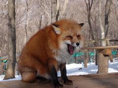 山形に行ってみた、ちょこっと宮城（3日目）