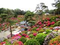 <東京･青梅＞　クルリと300度?!　2万株のツツジに囲まれた観音様　「塩船観音寺」