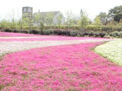 芝桜、藤、つつじ…花がいっぱい！（前篇）ザ・トレジャーガーデン