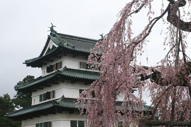 5月の大型連休の狭間に弘前城の桜と奥入瀬渓流、十和田湖温泉。<br />移動はE5系新幹線に初乗車と、たっぷり春休みを堪能しました。<br />ただ寒気が北日本に居座っていてめちゃさぶっ。<br />桜の見ごろは連休最後にずれ込んでしまいそうです。