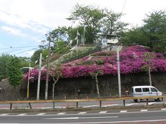 飛鳥山の博物館めぐり