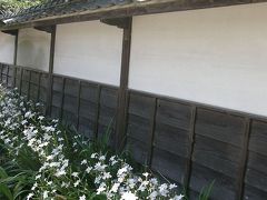 2013.GW花めぐり・・・③玉敷神社と河野省三邸だった玉敷公園のフジやシャガを訪ねる