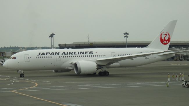 ｊａｌ 87とインド国内線の旅 バナーラス バラナシ インド の旅行記 ブログ By Cowboyさん フォートラベル