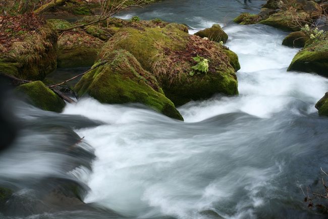 弘前城を後にして、十和田湖・奥入瀬渓谷を目指します。<br />十和田湖・奥入瀬は更に寒かったですがいい写真が撮れました。<br />