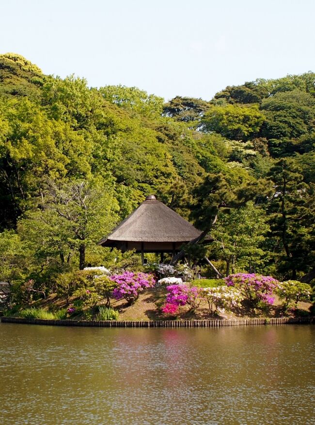 三溪園は生糸貿易により財を成した実業家「原 三溪」によって、1906年（明治39）5月1日に公開されました。<br />175,000?に及ぶ園内には京都や鎌倉などから移築された歴史的に価値の高い建造物が巧みに配置されています。<br /><br />テーマは、「日本庭園の魅力」<br />日本の良さを改めて実感できる広い日本庭園、実は横浜にもあるんですよ〜♪<br />それがここです！<br /><br />今回も普段使っている重たい一眼レフではなく、散歩カメラ（ミラーレス（OLYMPUS PENの軽量モデル））とともに、素晴らしい日本庭園を散歩して来ました。<br /><br />では、入園してきます。<br /><br />