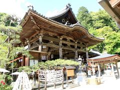 岡寺（西国三十三か所七番札所）　石楠花、牡丹が綺麗でした。シャガの花も。