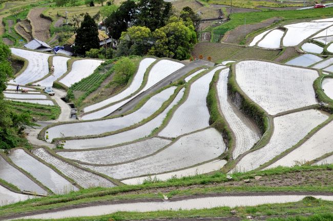 田植え直後の千枚田を見に行ってきました。