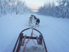 オーロラとアイスホテルの旅　4