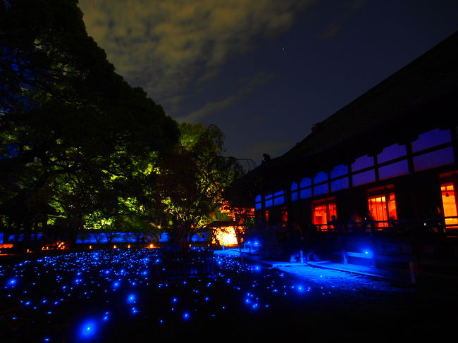 今回の旅行の夜編。<br />青蓮院と高台寺のライトアップがメイン。<br /><br />http://souda-kyoto.jp/travel/saijiki/lightup_2013spring.html<br /><br />東山の二年坂、三年坂の夜景。<br /><br /><br />2013年5月7日のfacebookで紹介されました。<br /><br />先日ご投稿いただいた旅行記がとても素敵でしたので、<br />フォートラベルの公式facebookページで紹介させていただきました。<br /><br />■紹介させていただいた旅行記<br />京都旅行は突然に～2/春のライトアップ～<br />http://4travel.jp/traveler/tomhig/album/10771765/<br />