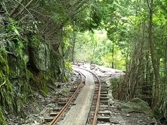 どこへ行っても麺が主食♪第11弾　鹿児島・熊本の旅《３日目～縄文杉と夜光貝編》