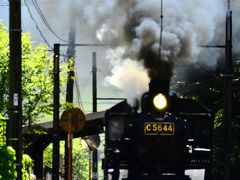 新緑の中を走る大井川鐵道の蒸気機関車を見に訪れてみた