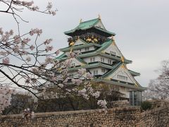 桜舞う大阪城公園～2013