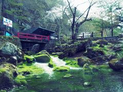 【2013.5.1～5.4】★岩手で遊ぶ・食べる・考える★2日目：龍泉洞とグリーンピア三陸みやこ。